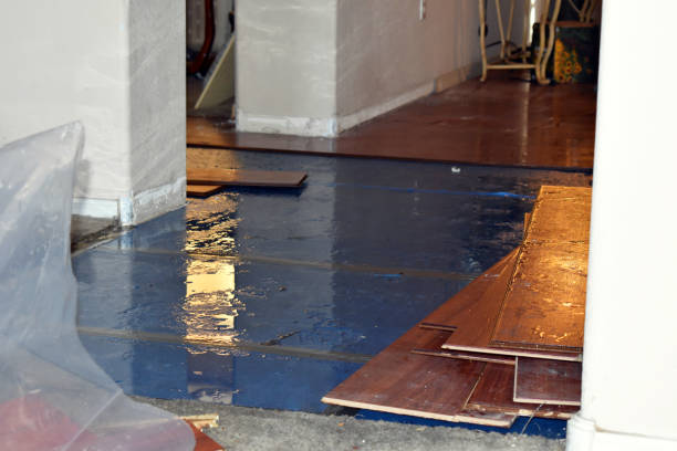 Professional Basement Flood Cleanup technician working in Altoona, WI